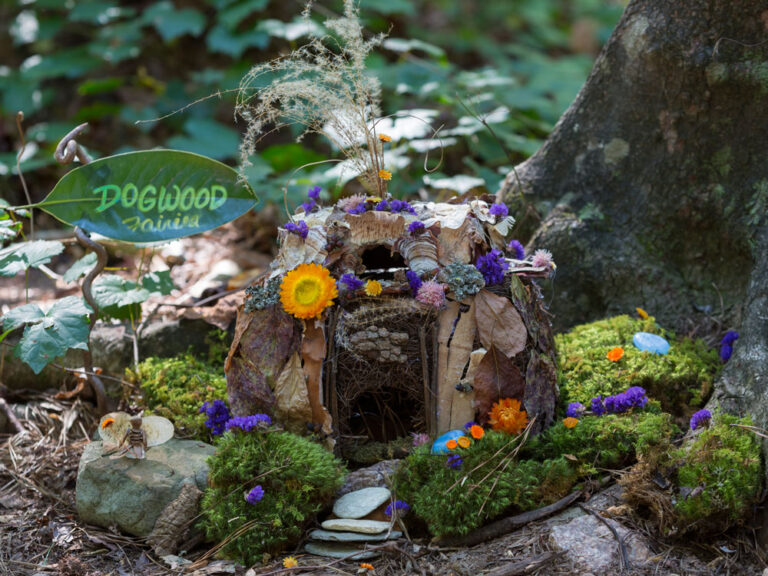 See the Magic of Fairies in the Garden