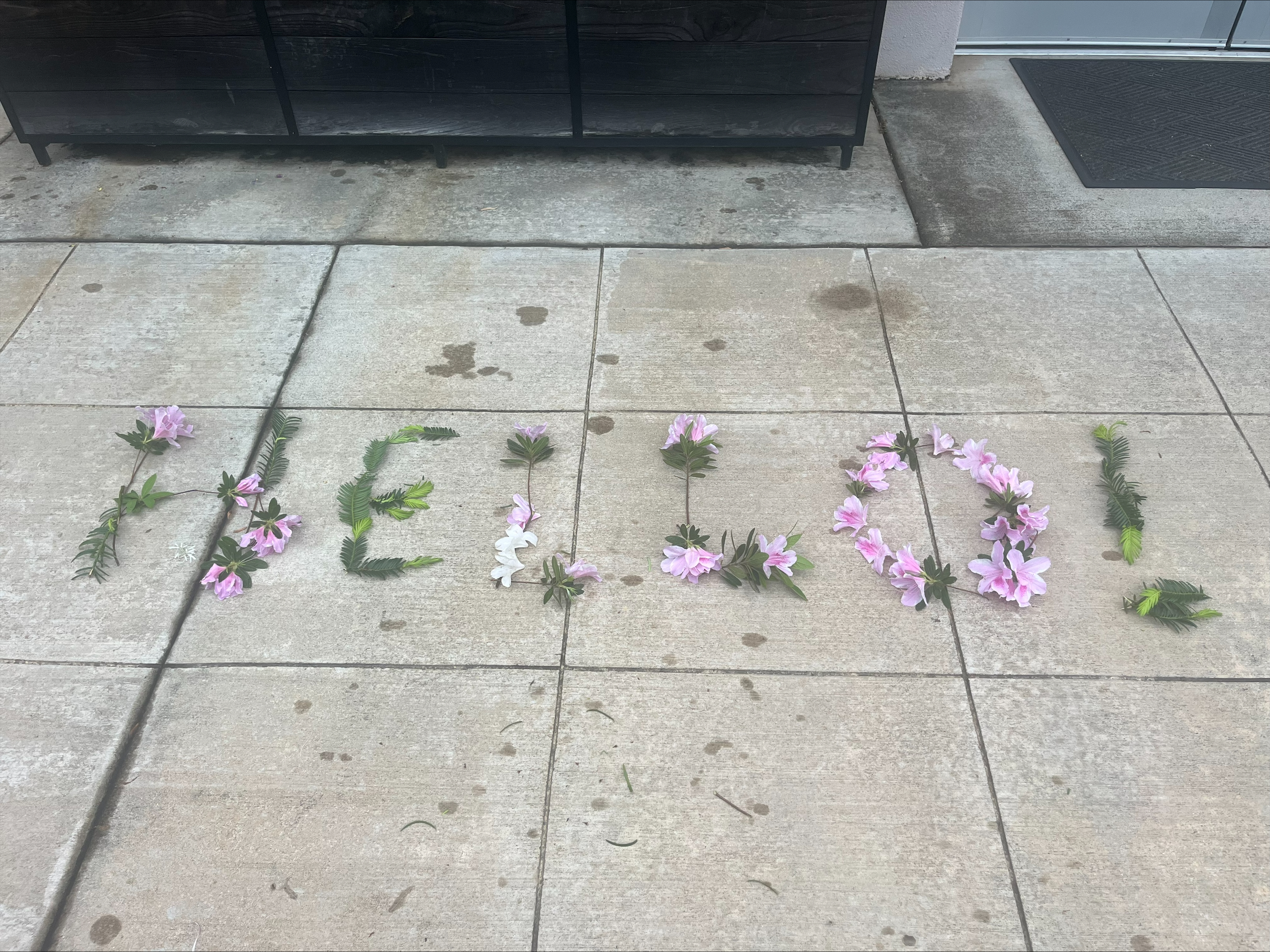 The word "hello" created with flowers on the sidewalk.